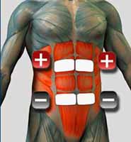 Eabdominal Electroestimulacion Abdominal, Como colocar los electrodos en el abdomen