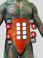 Ebdominal2 Electroestimulacion Abdominal, Como colocar los electrodos en el abdomen