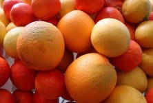 Las dietas de moda, Dieta del frío y de los cítricos 