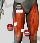 Como colocar los electrodos en los muslos
