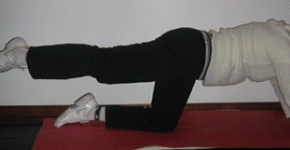 Ejercicio para Gluteos - Extensión de Caderas