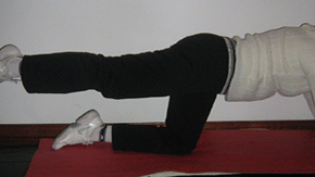Ejercicio para Gluteos - Extensión de Caderas
