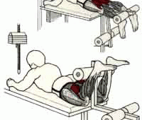 Ejercicios para piernas y gluteos