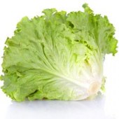 La Lechuga como incorporarla en nuestra dieta