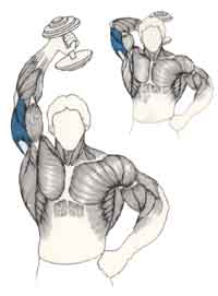 ejercicio para brazos