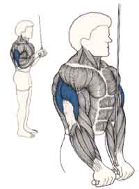 ejercicio para brazos
