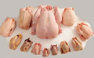 Beneficios de la carne de ave